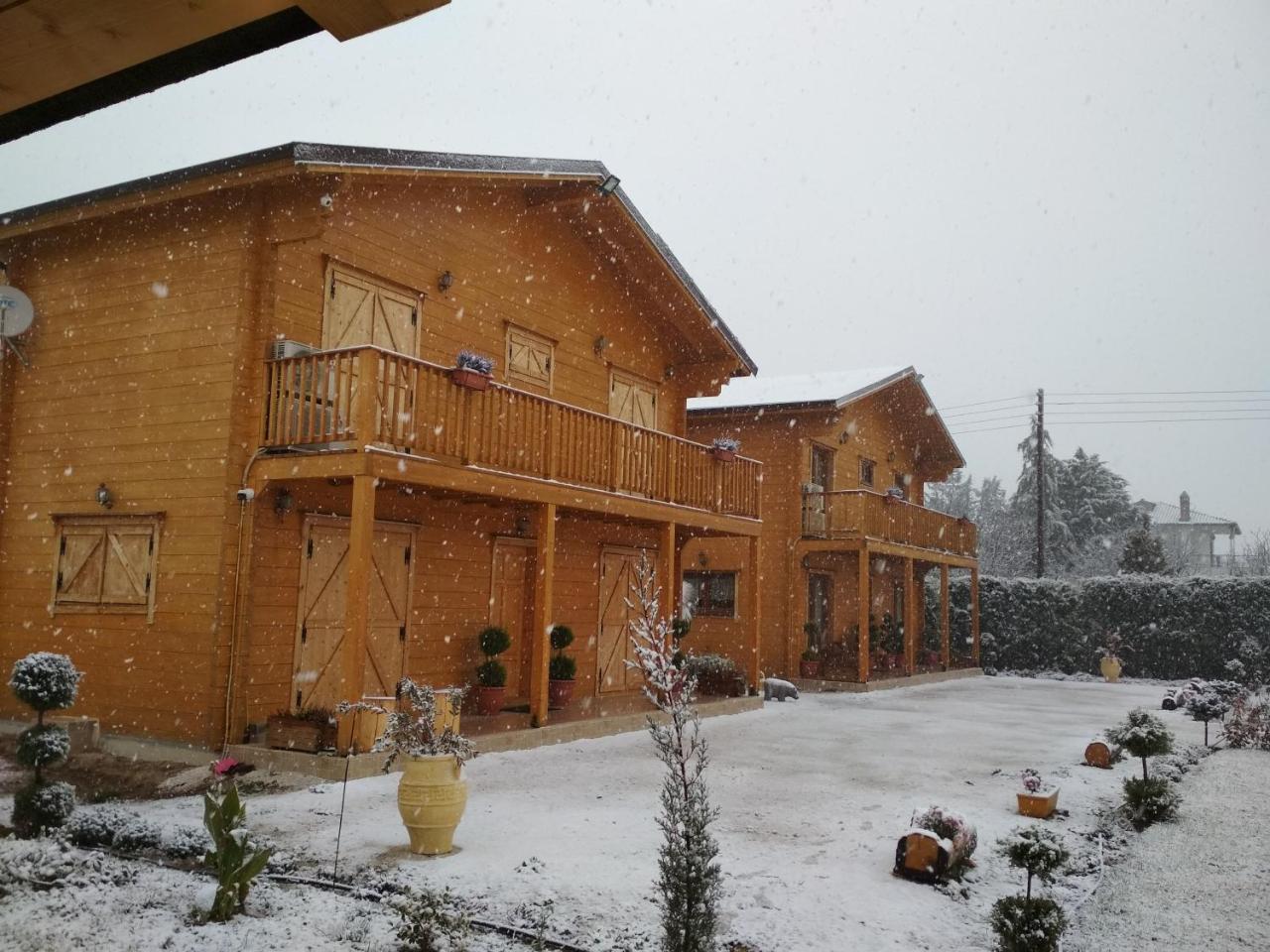 Kastor Chalets Ambelókipi Kültér fotó
