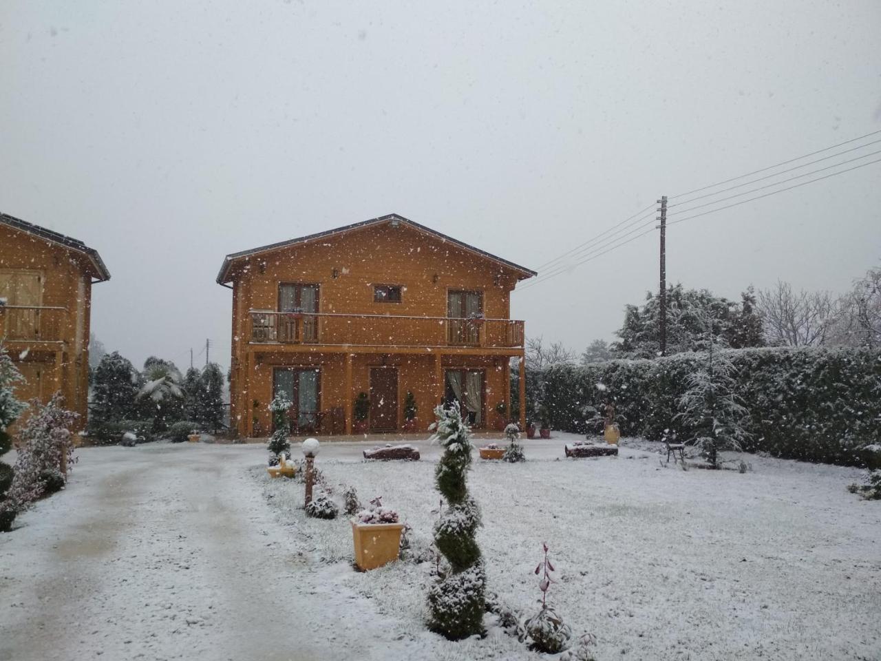 Kastor Chalets Ambelókipi Kültér fotó