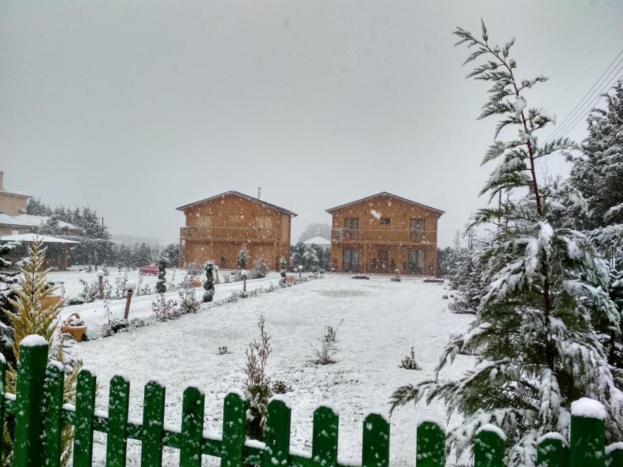 Kastor Chalets Ambelókipi Kültér fotó