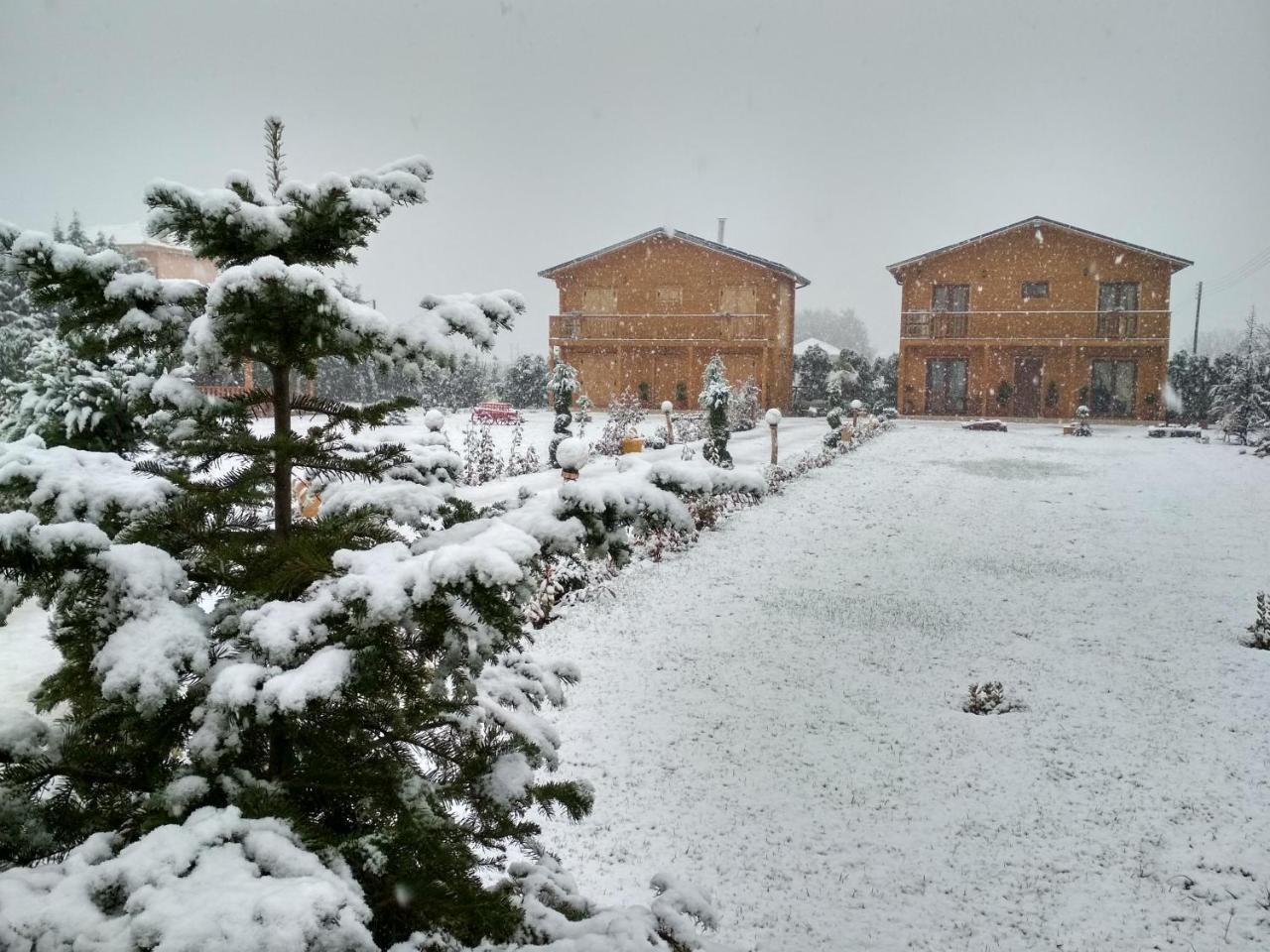 Kastor Chalets Ambelókipi Kültér fotó