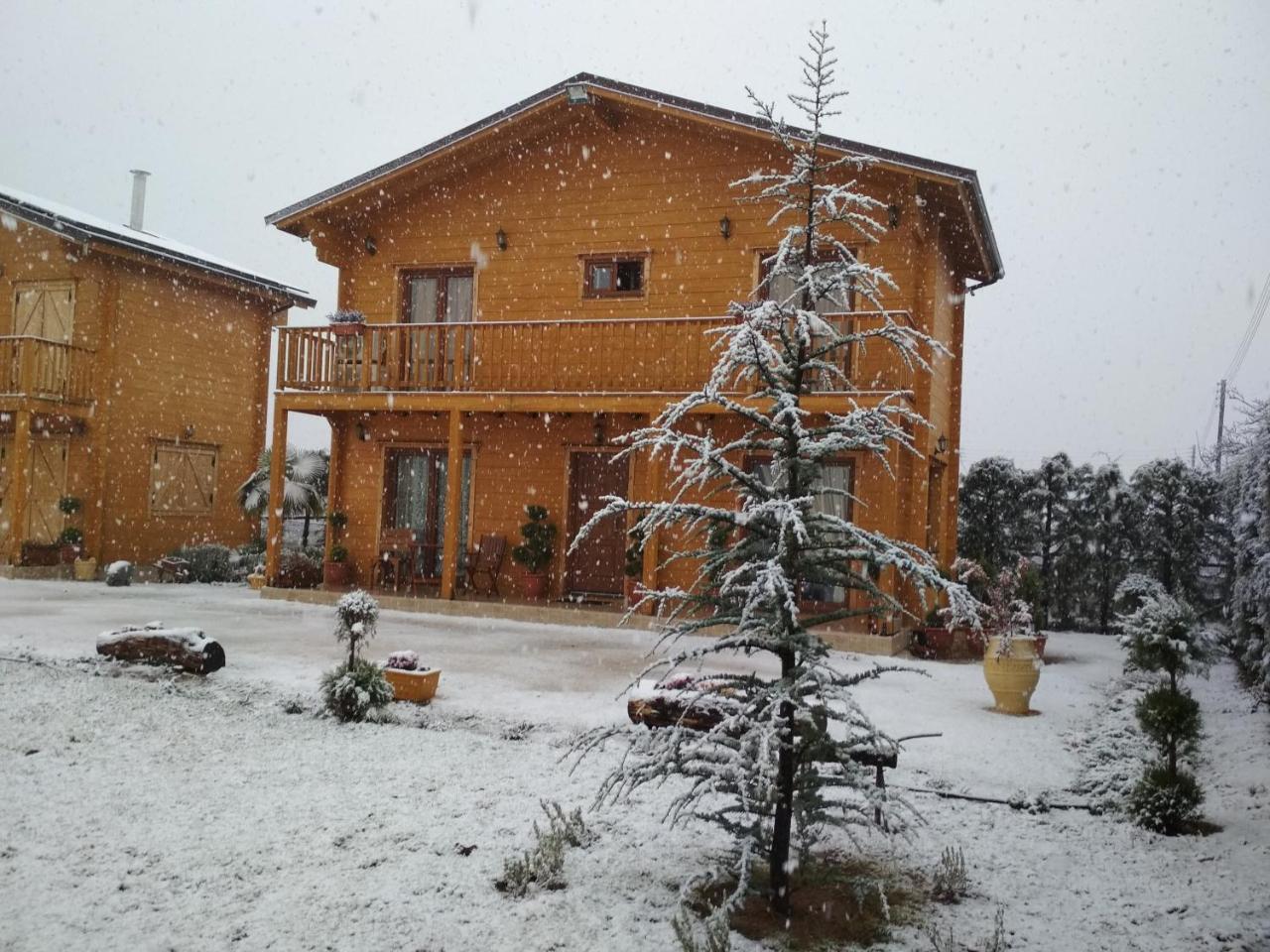 Kastor Chalets Ambelókipi Kültér fotó