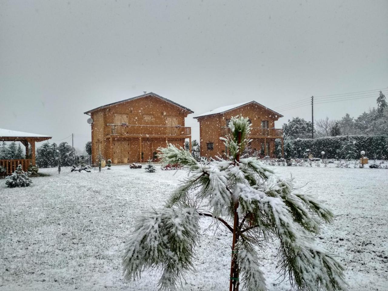 Kastor Chalets Ambelókipi Kültér fotó