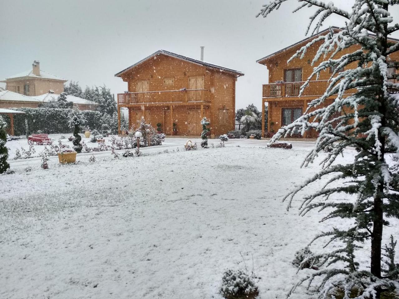 Kastor Chalets Ambelókipi Kültér fotó