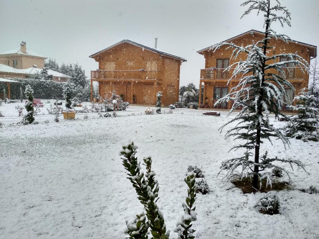 Kastor Chalets Ambelókipi Kültér fotó