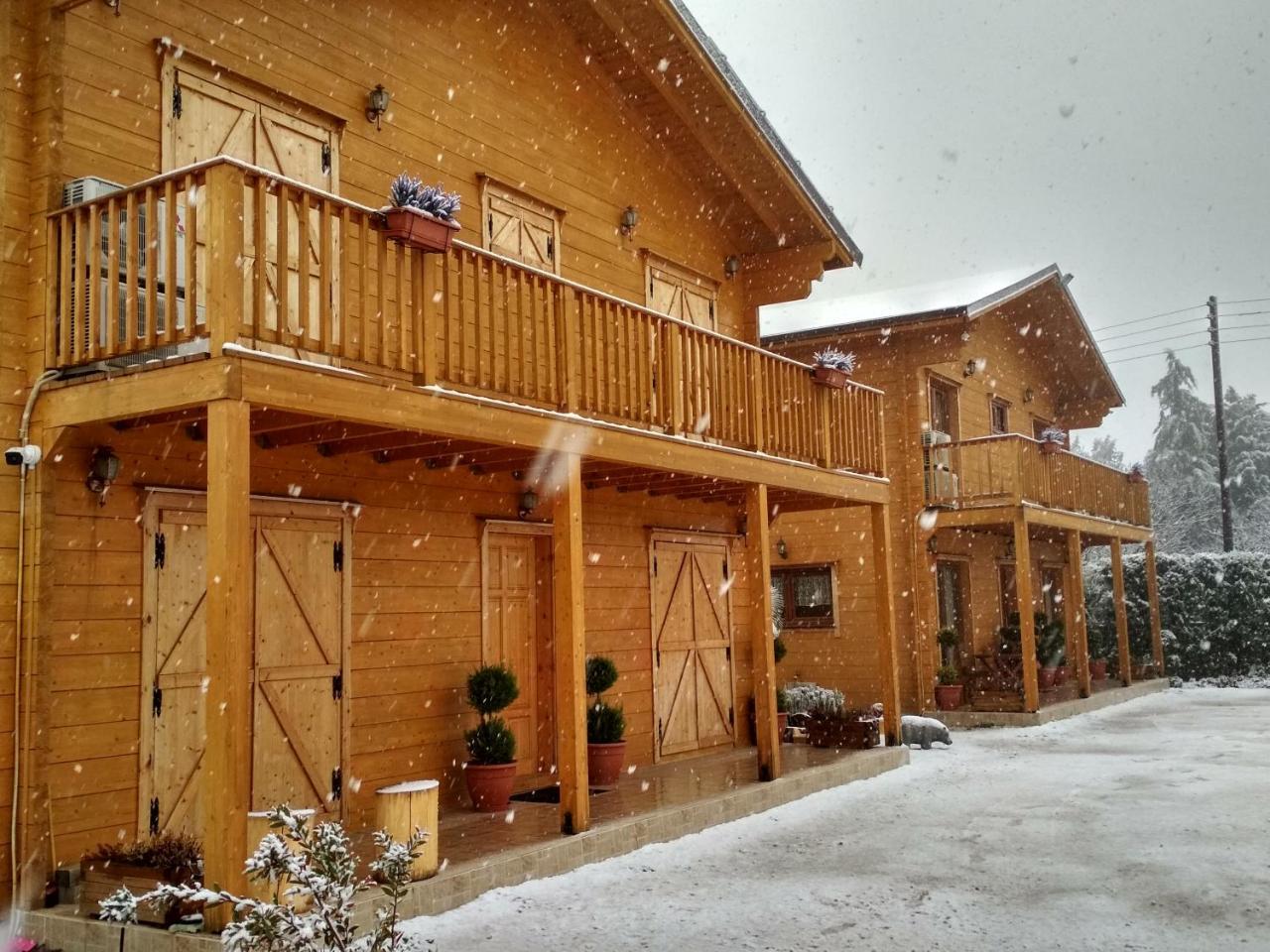 Kastor Chalets Ambelókipi Kültér fotó