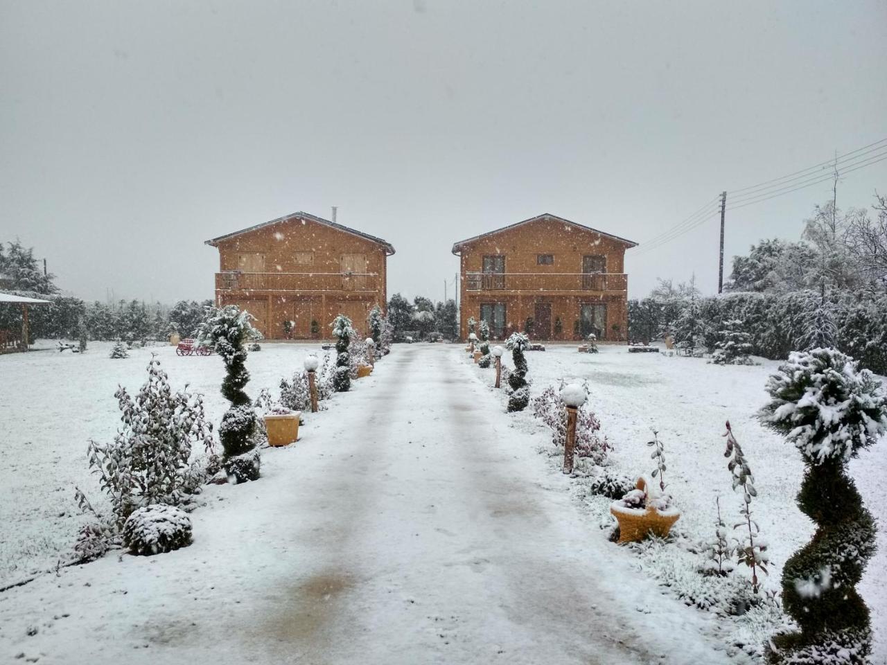 Kastor Chalets Ambelókipi Kültér fotó