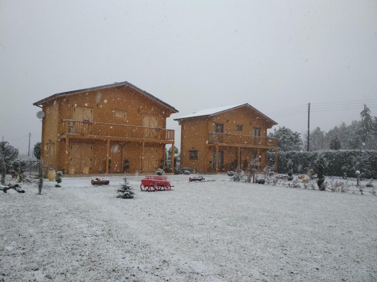 Kastor Chalets Ambelókipi Kültér fotó